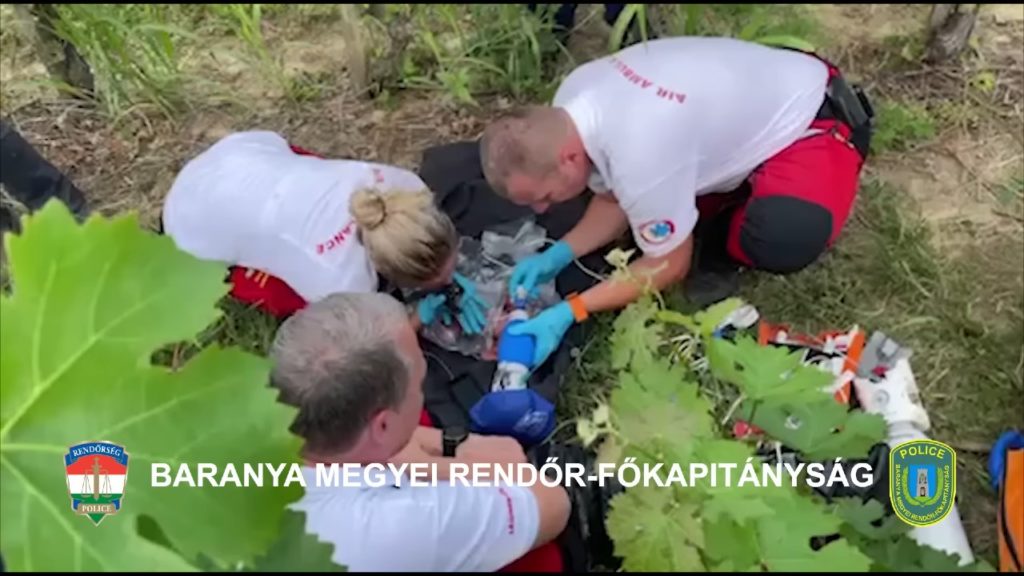 Meghalt a csecsemő, akit a baranyai szőlőhegyen hagyott sorsára az anyja