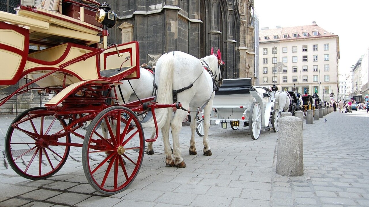 lovaskocsi Bécsben