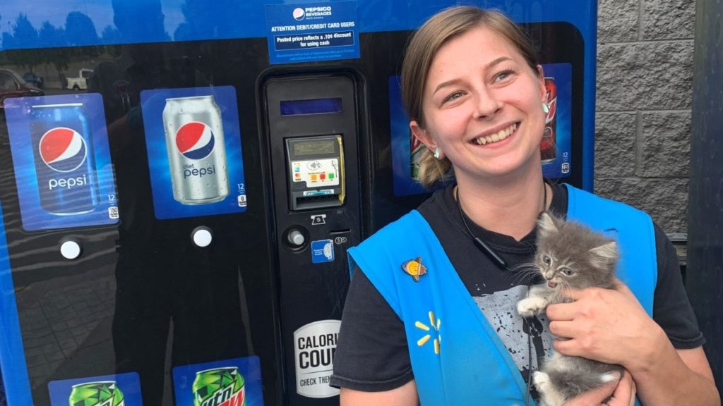 Cica rekedt egy Pepsi-automatába