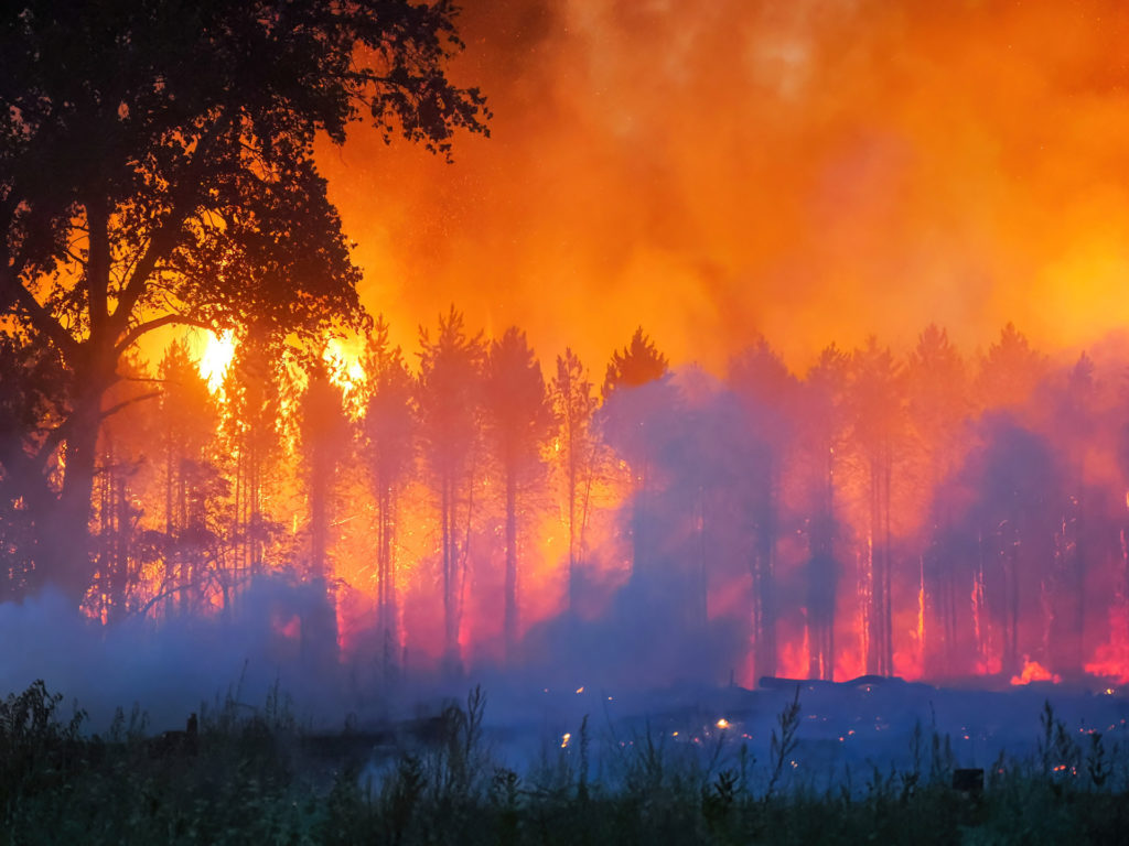 klímaválság hőség tűzvészek erdőtűz