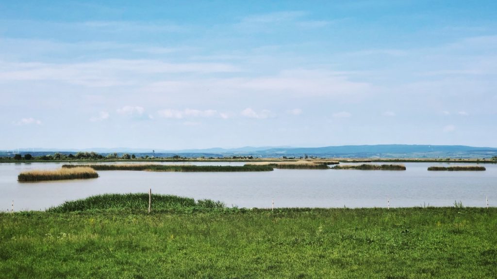 Kiszárad a Fertő-tó, ha nem pótoljuk magyar oldalról a vizet