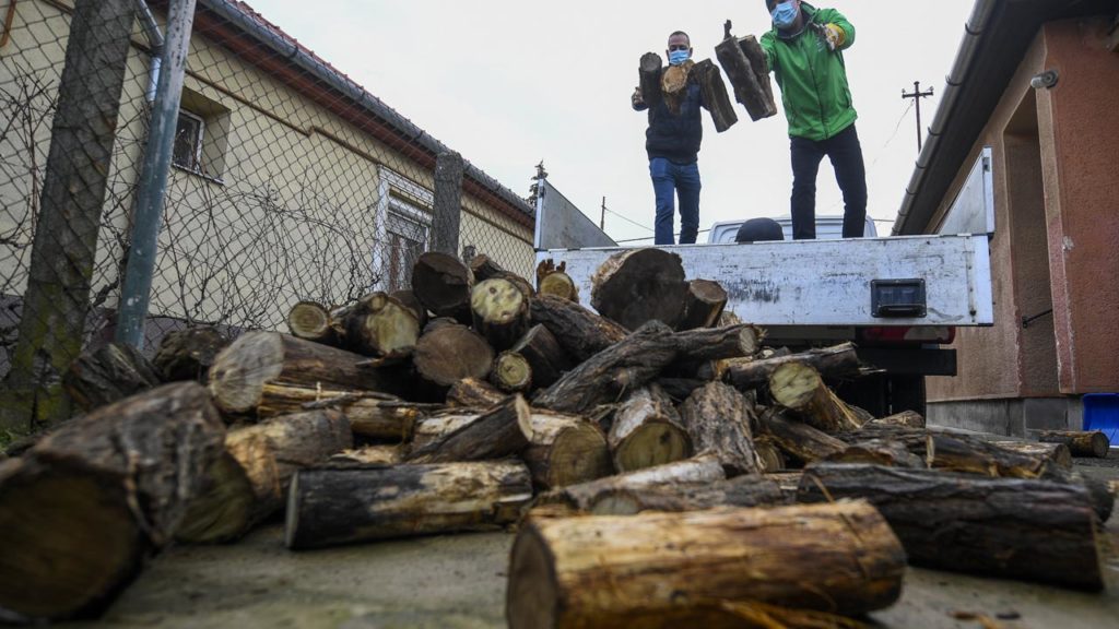 Az összes közintézményben megvizsgálja a kormány, hogy lehet-e fával fűteni