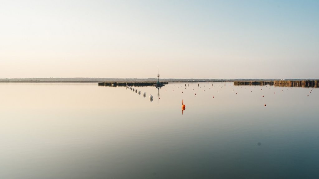 Fekáliás szennyezés miatt zárták le a Velencei-tó egyik strandját