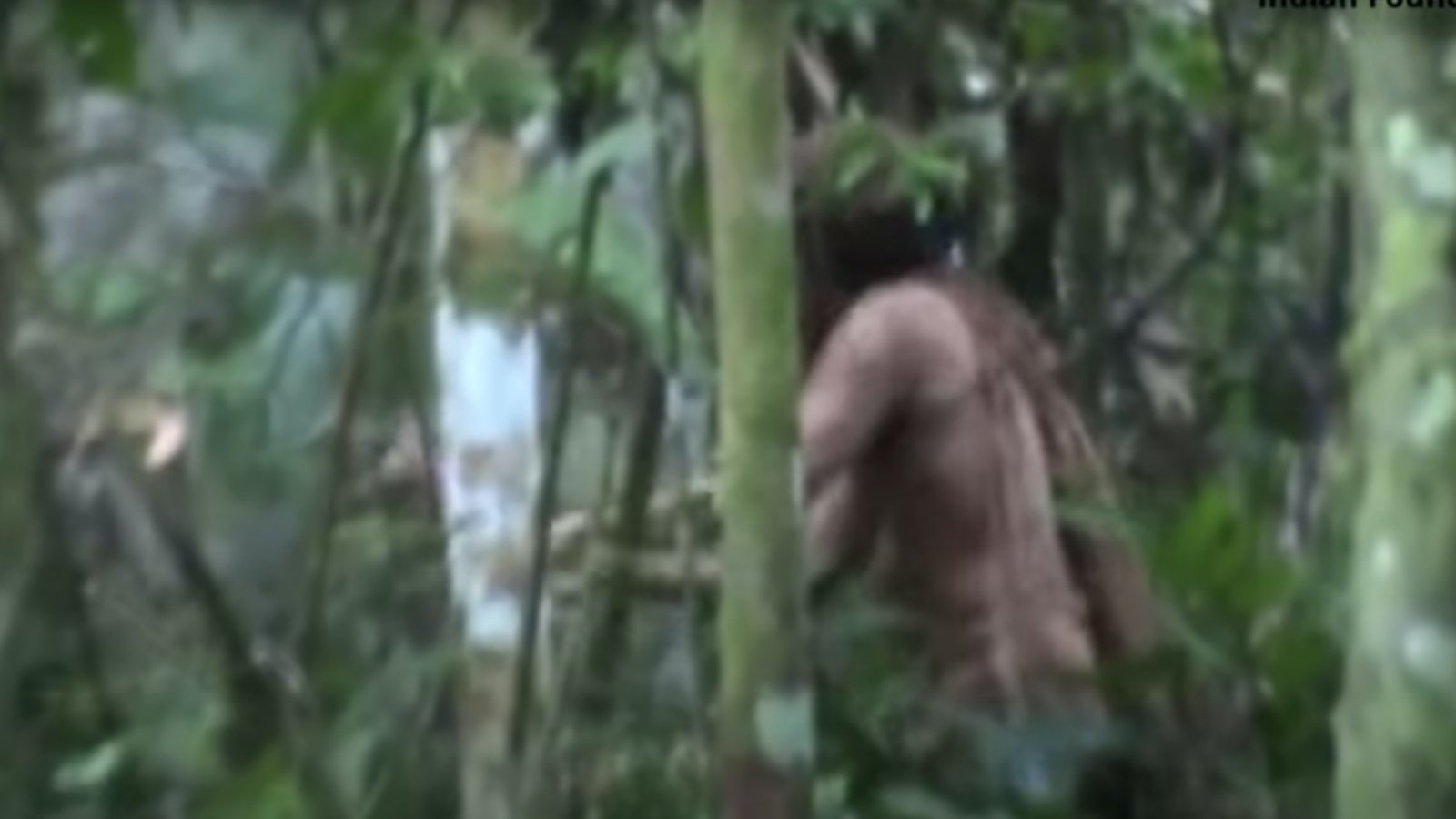 A Lyuk embere néven emlegetett férfi, egy brazil őslakos törzs utolsó tagja az őserdőben