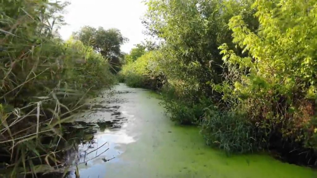 Kitiltották Egerből a Tarna vizét aszálykor elszívó borászat borait