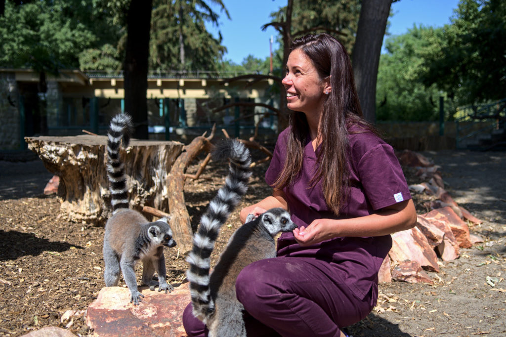 debreceni állatkert állatorvos Debrecen állatok