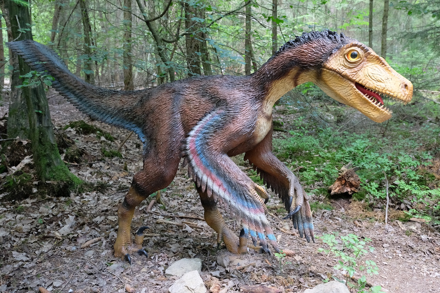 Egy egészen rettenetes dinoszaurusz (fotó: Wikipedia)