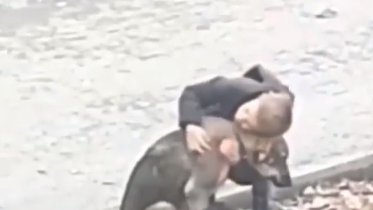Egy kisfiú ölel meg egy kutyát