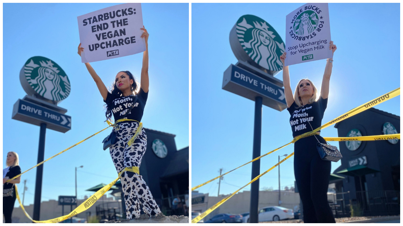 Tüntetők a Starbucks növényi tej árazása ellen