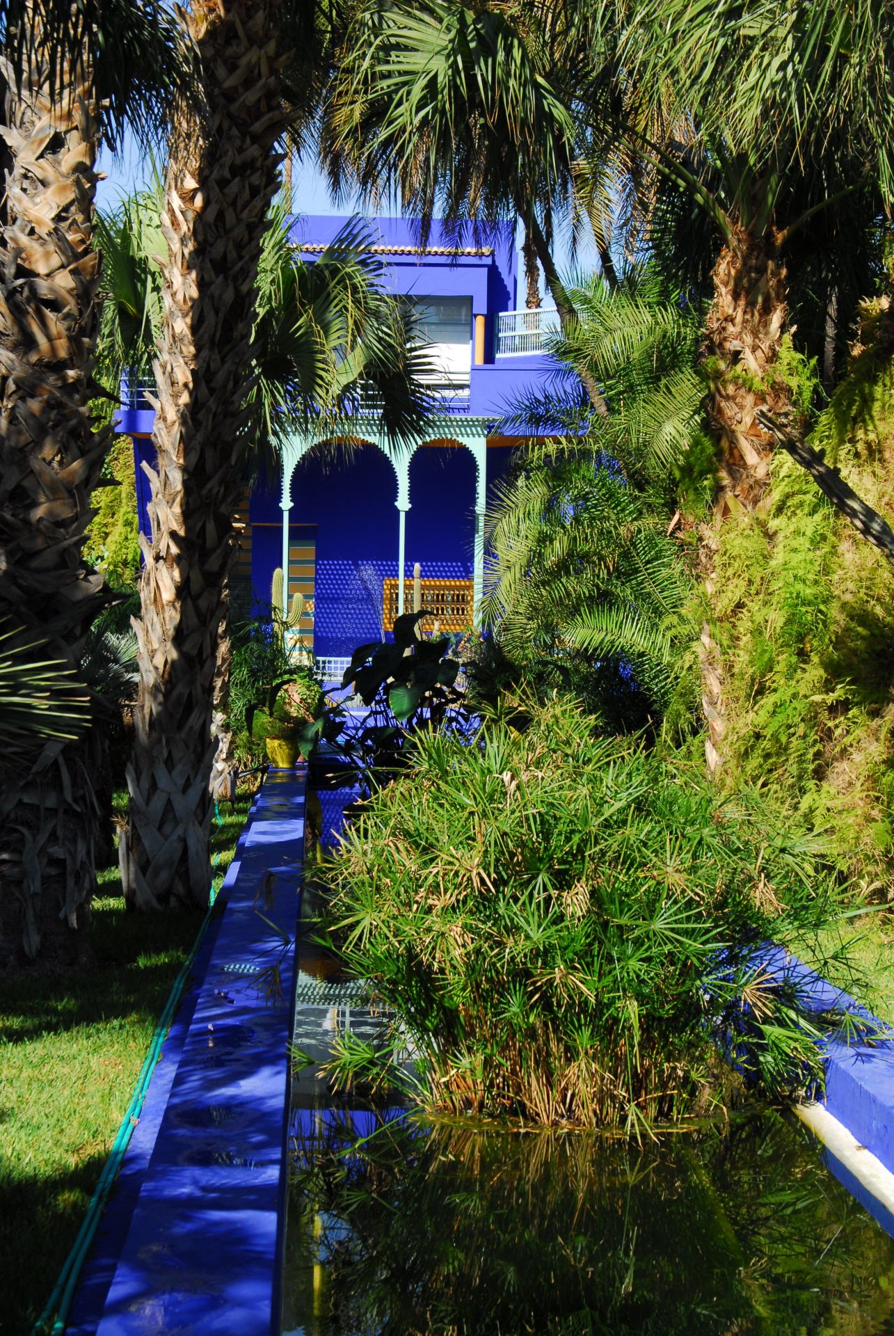 A Jardin Majorelle, Yves Saint Laurent egykori marokkói villájához tartozó kert.