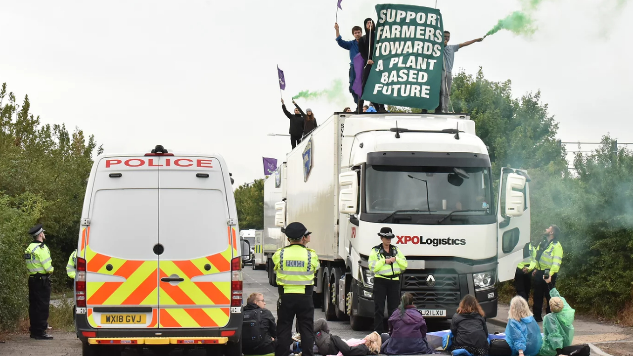 Vegán tüntetők Angliában