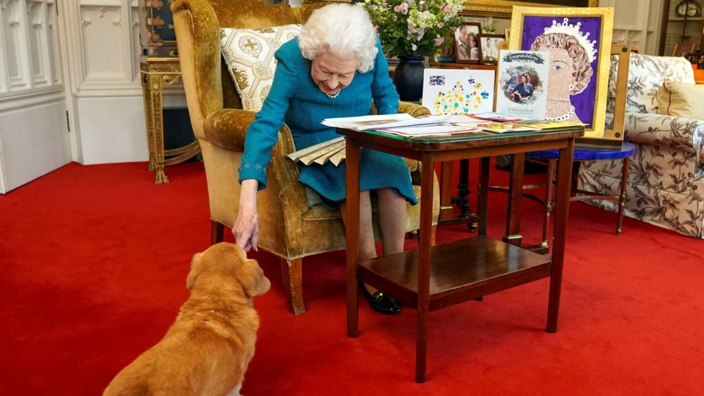 Jó kezekbe kerülnek a királynő szeretett corgijai