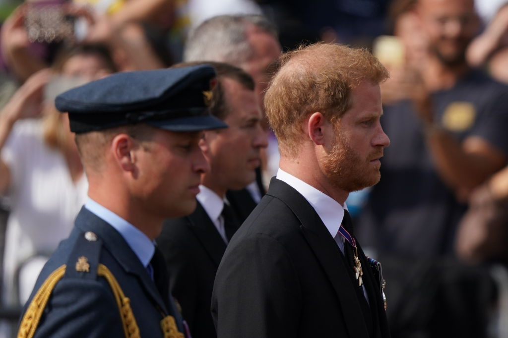  Peter Phillips, Vilmos és Harry II. Erzsébet gyászmenetén
