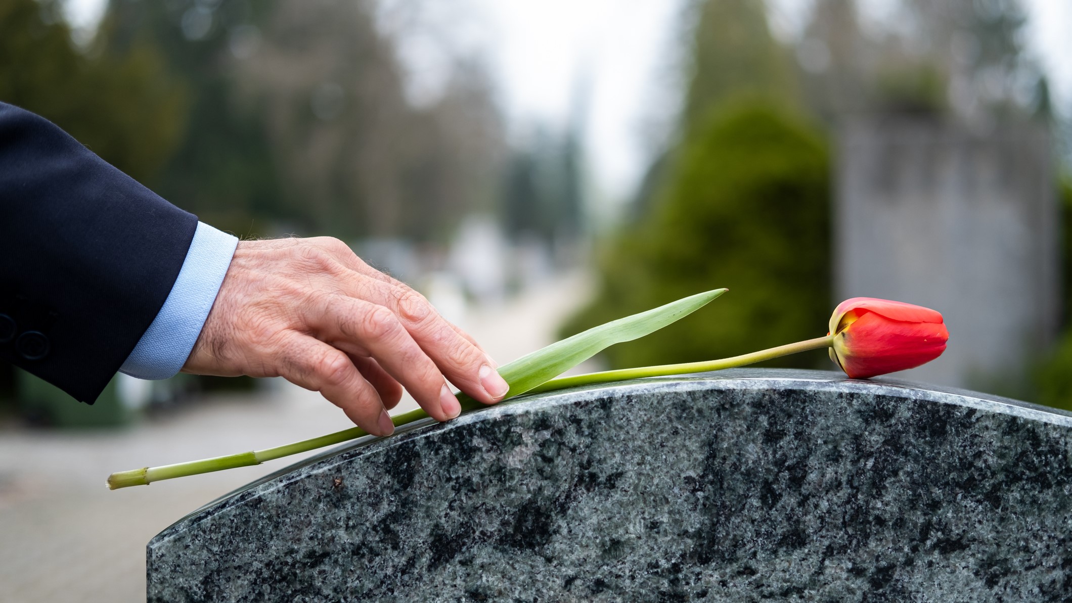 Egy férfi virágot helyez egy sírkőre