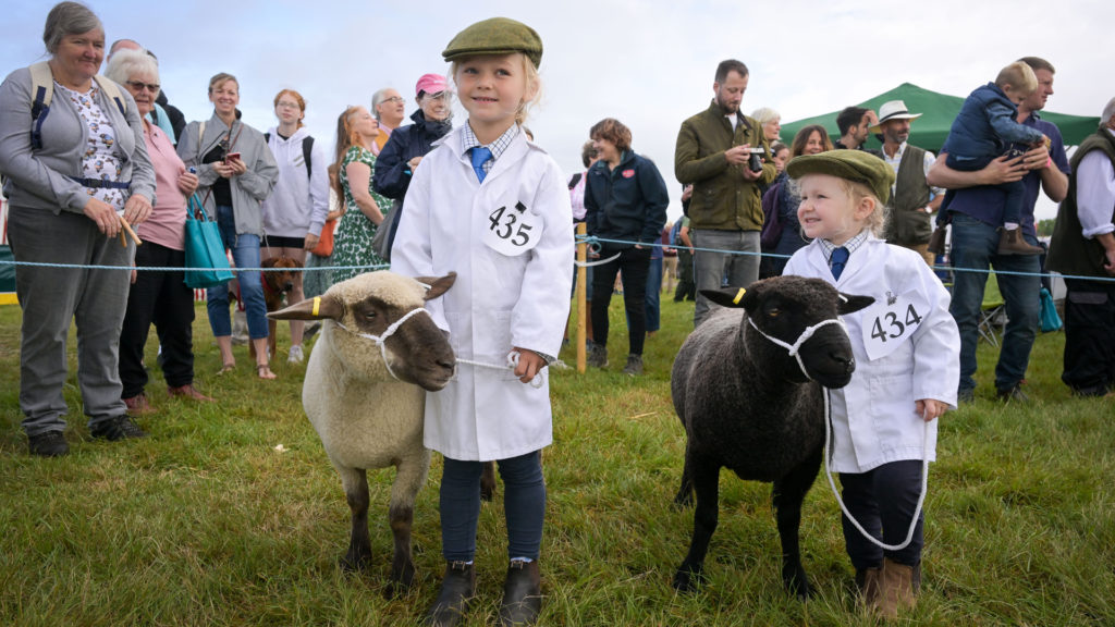 A Melplash Agricultural Society Show