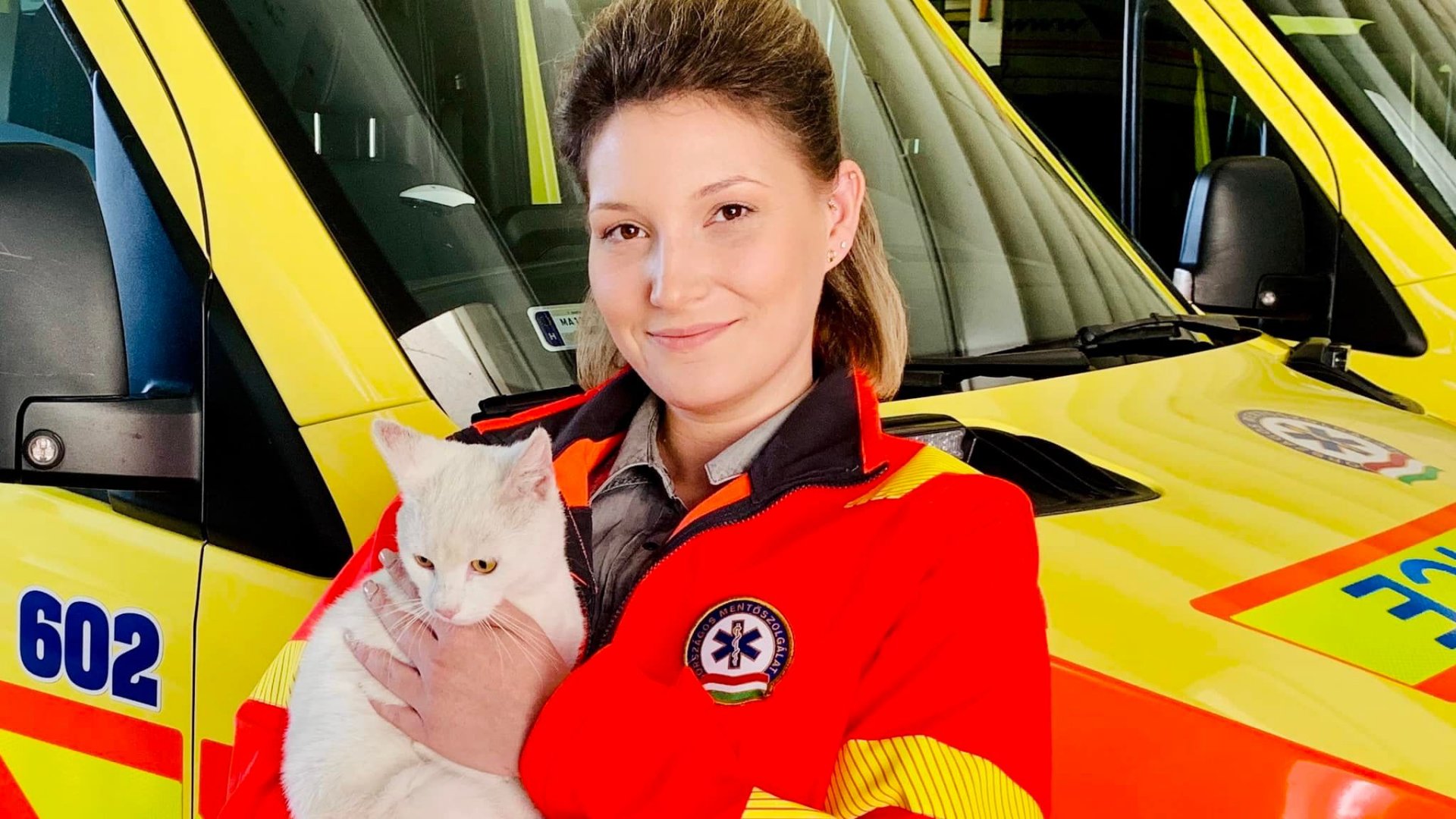Ninó nevű macska a debreceni mentőállomáson