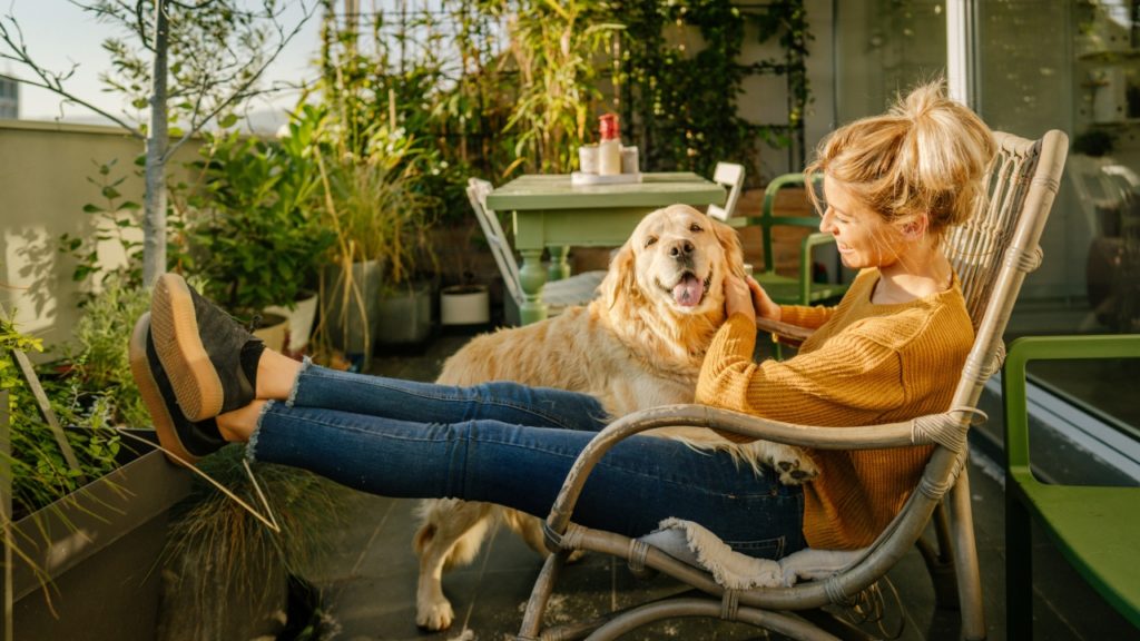 Tudod, hogy miért olyan fontos a szervezeted számára a D-vitamin?