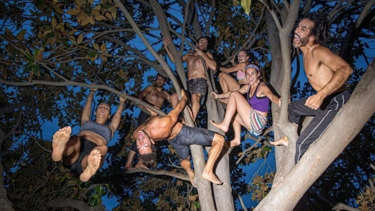 A Tarzan Mozgalom tagjai lógnak egy fáról.