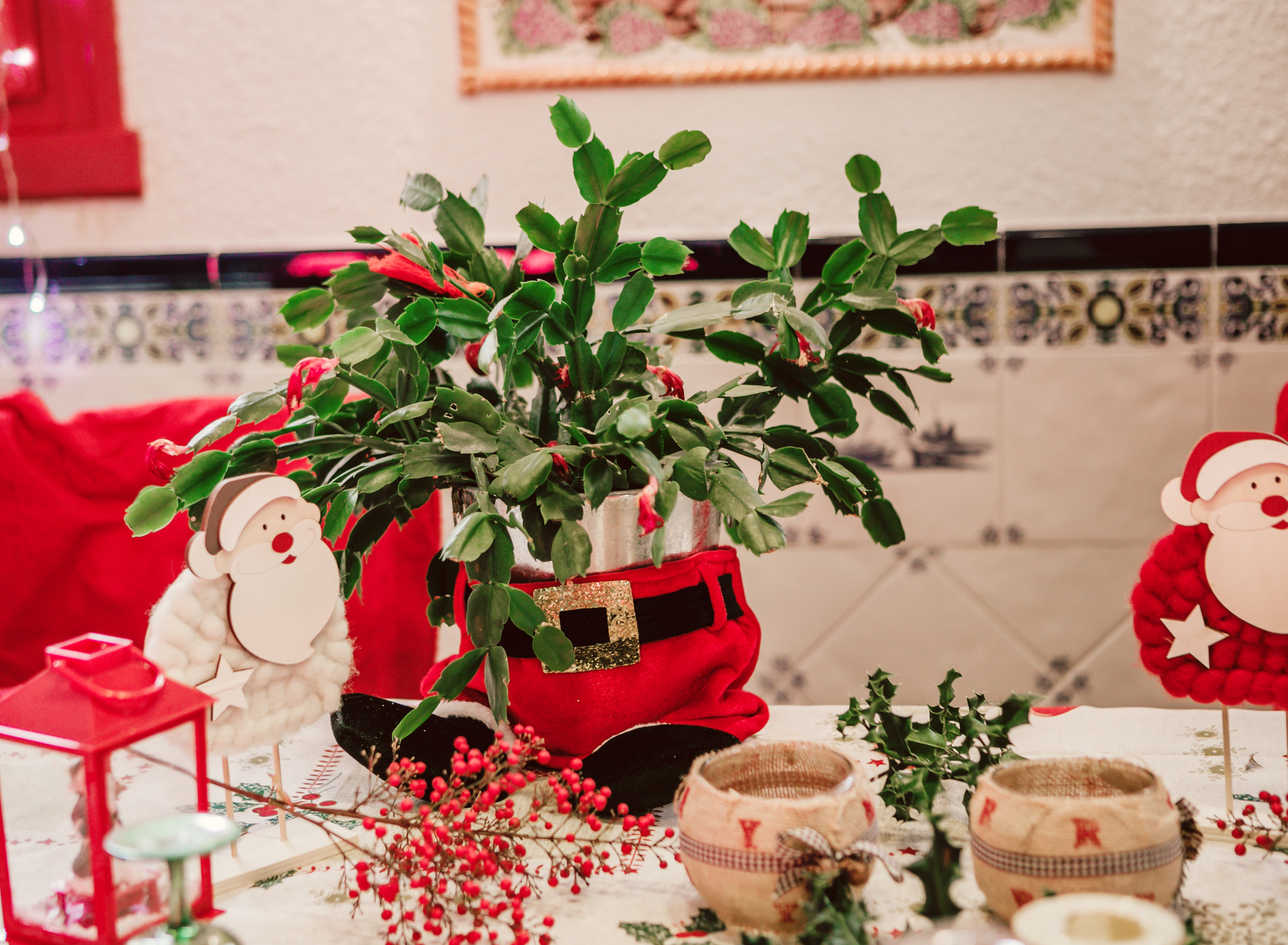 Karácsonyi kaktusz karácsonyi dekorációval