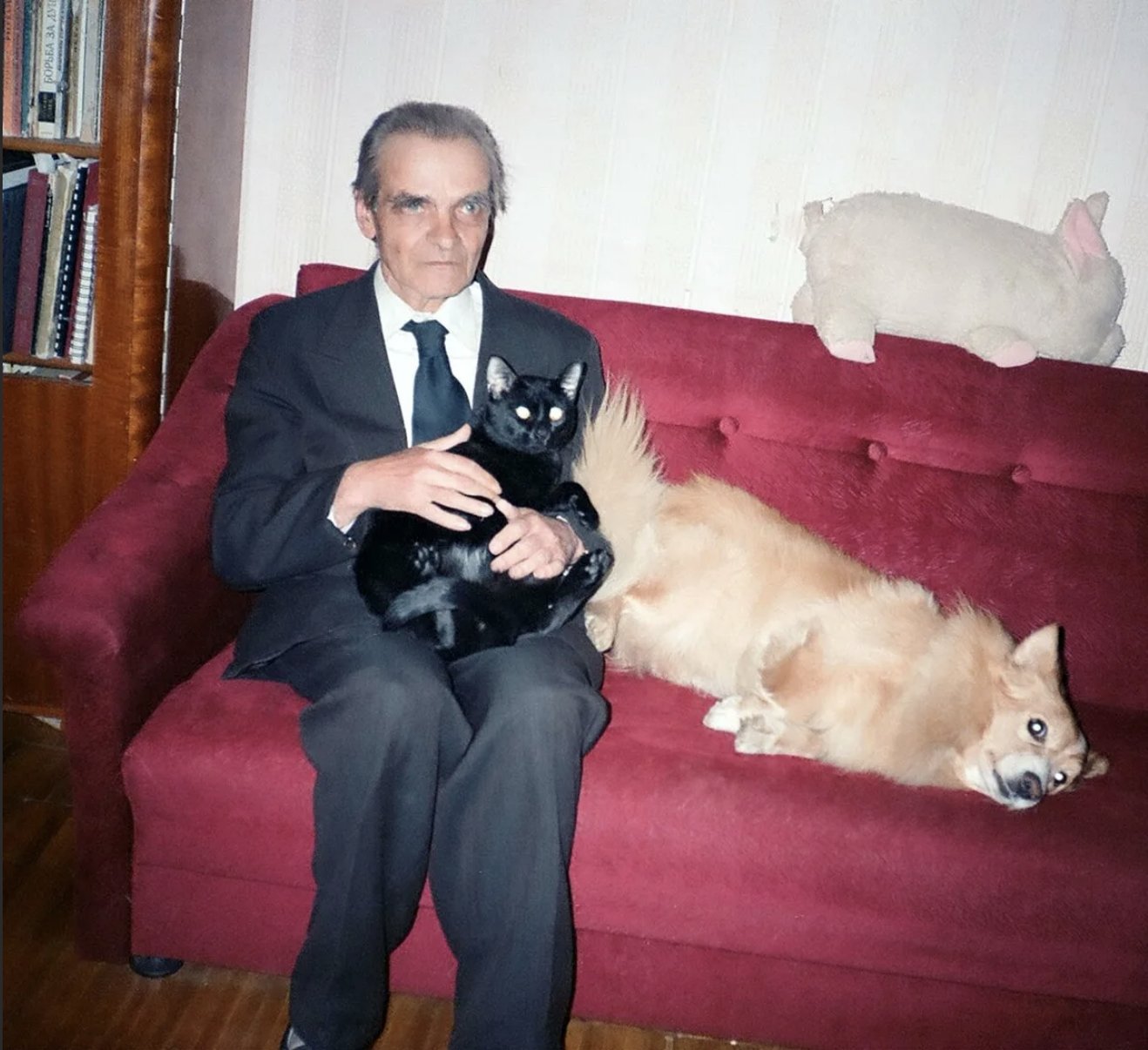 Az idős Jurij Knorozov egy másik macskával, valamint egy kutyával (fotó: