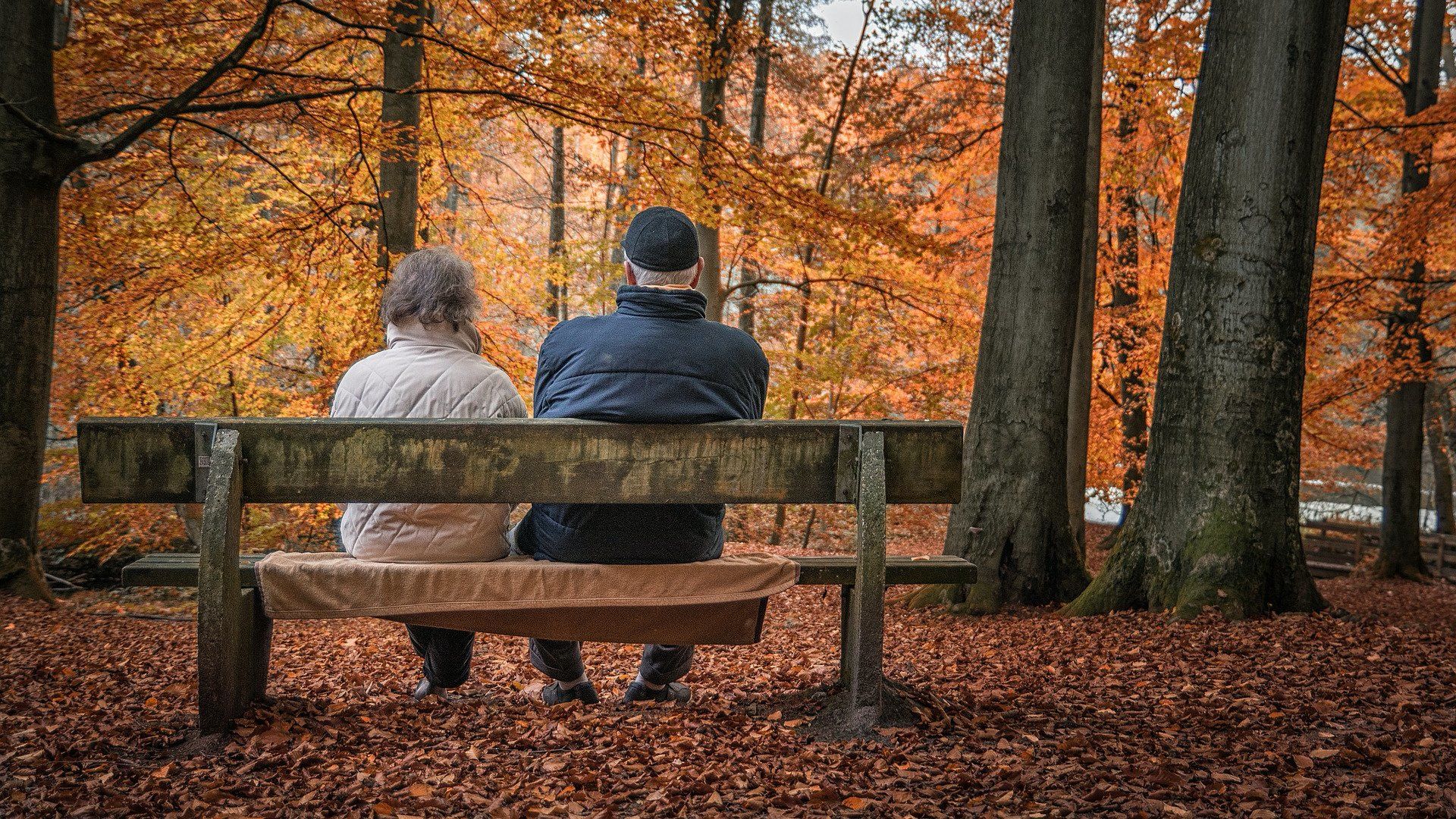 Nyugdíjasok ülnek egy padon az őszi erdőben