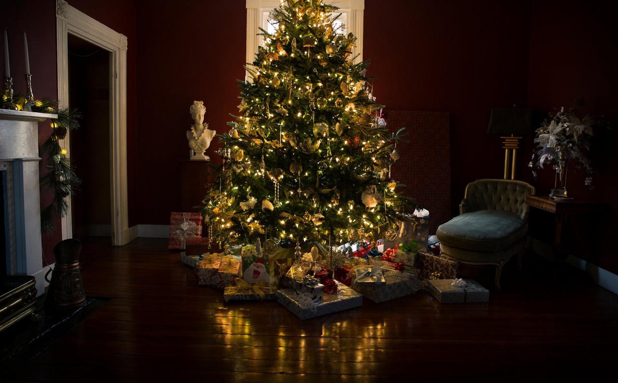 Karácsonyfa