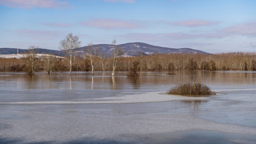 A megáradt Tisza és Bodrog folyók között elöntött Bodrogköz, Bodrogkeresztúr határában 2021. február 13-án.