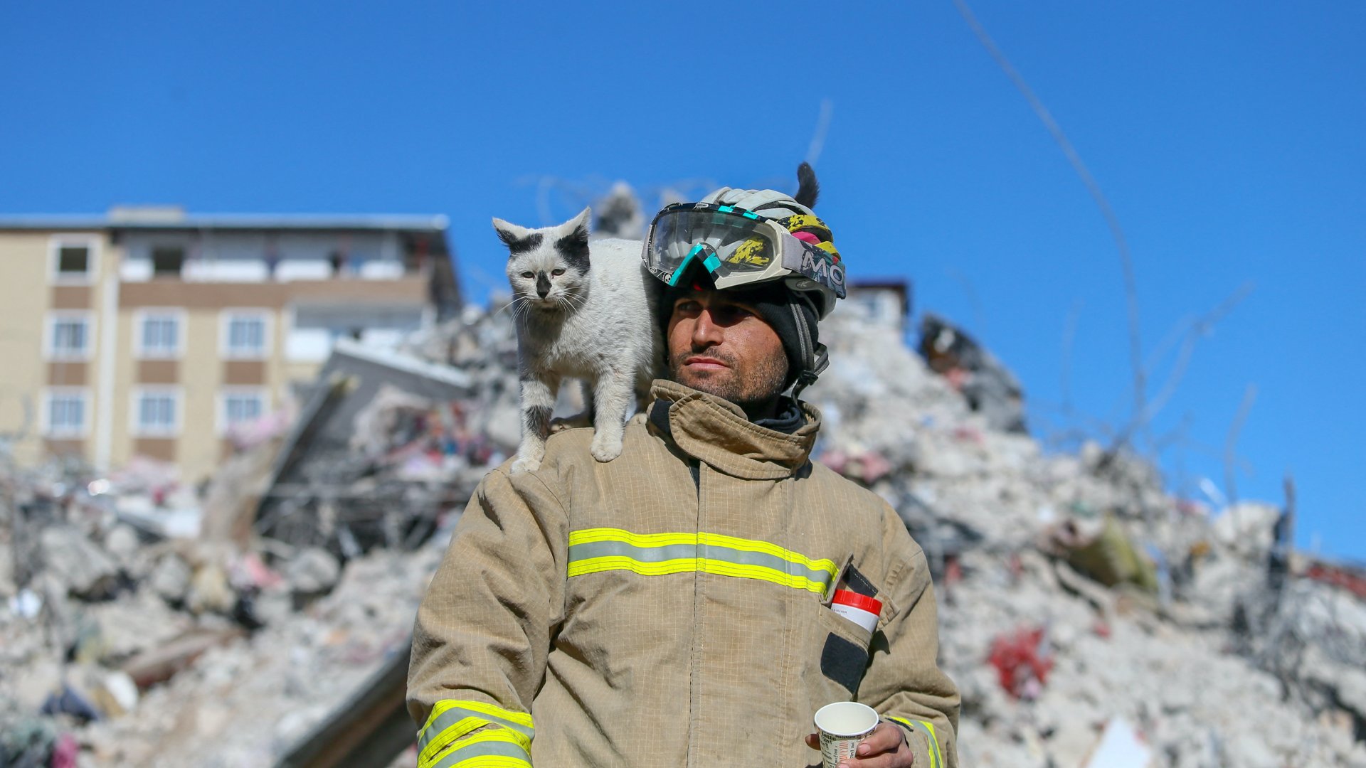 A 33 éves Ali Cakas tűzoltó és az Enkaz (Törmelék) nevű macska a törökországi Gaziantep városában 2023. február 14-én. A macskát a mardini tűzoltóság tagjai mentettek ki a romok alól a törökországi súlyos földrengés után
