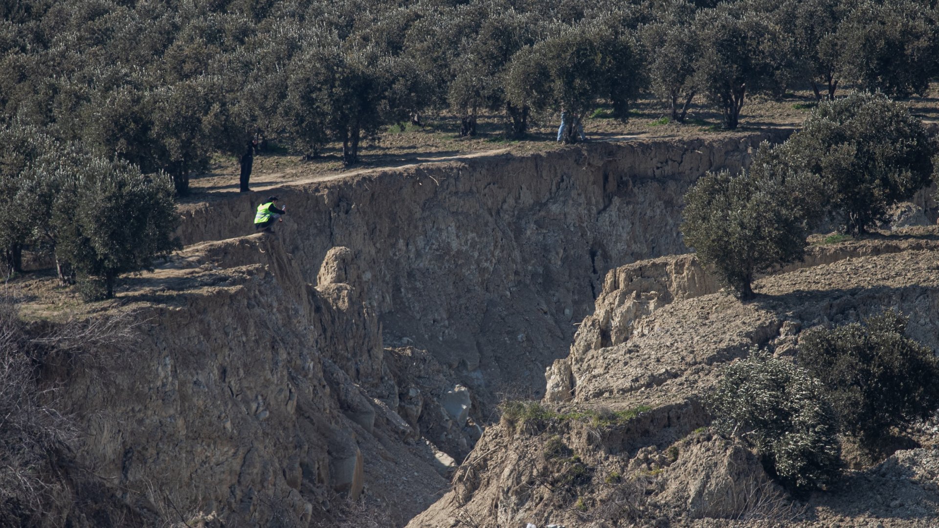 Egy férfi ül a kanyon szélén, amelyet az erős földrengés hozott létre, és kettészakított egy olajfaligetet 2023. február 18-án a törökországi Tepehanban