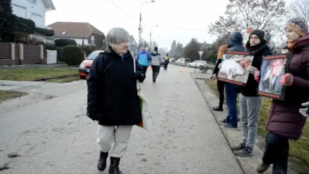 A magyar néni kiosztotta a vegán tüntetőket: „Megkérdezem a karalábét majd”