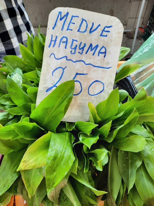 Medvehagyma Fehérvári úti piac 2023 március 25.