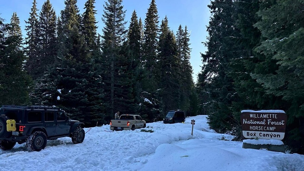 Hóban rekedt autók az oregoni Willamette erdőben