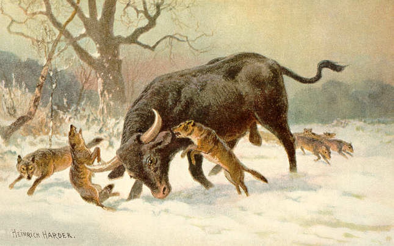 Farkasokkal harcoló őstulok egy huszadik század eleji festményen (forrás: Wikipedia)