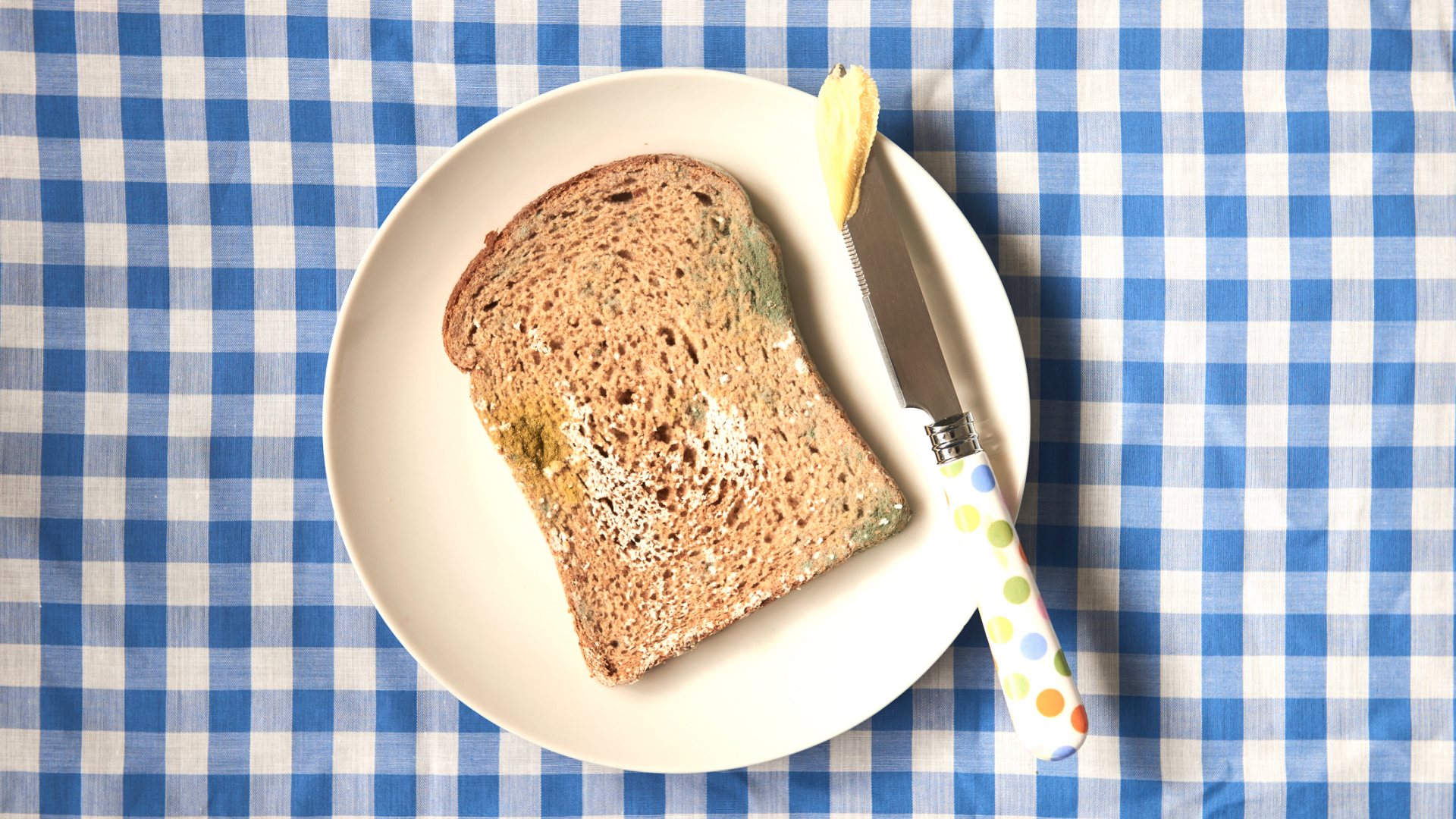 Penészes kenyér a tányéron