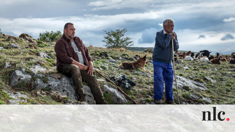 Csak egy farmon akart gazdálkodni, de a szomszédban lakó testvérpár eltette őt láb alól