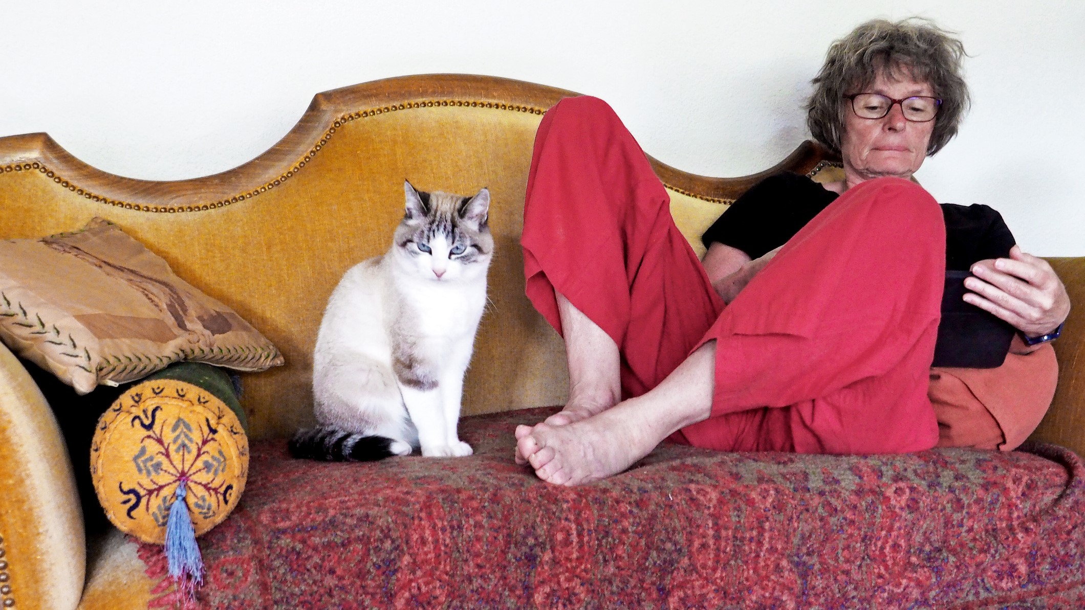Idősebb nő olvas egy kanapén macskával