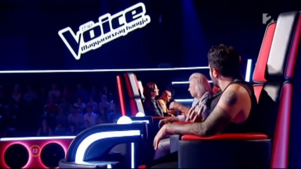 Ők lehetnek az X-Faktort váltó The Voice zsűritagjai!