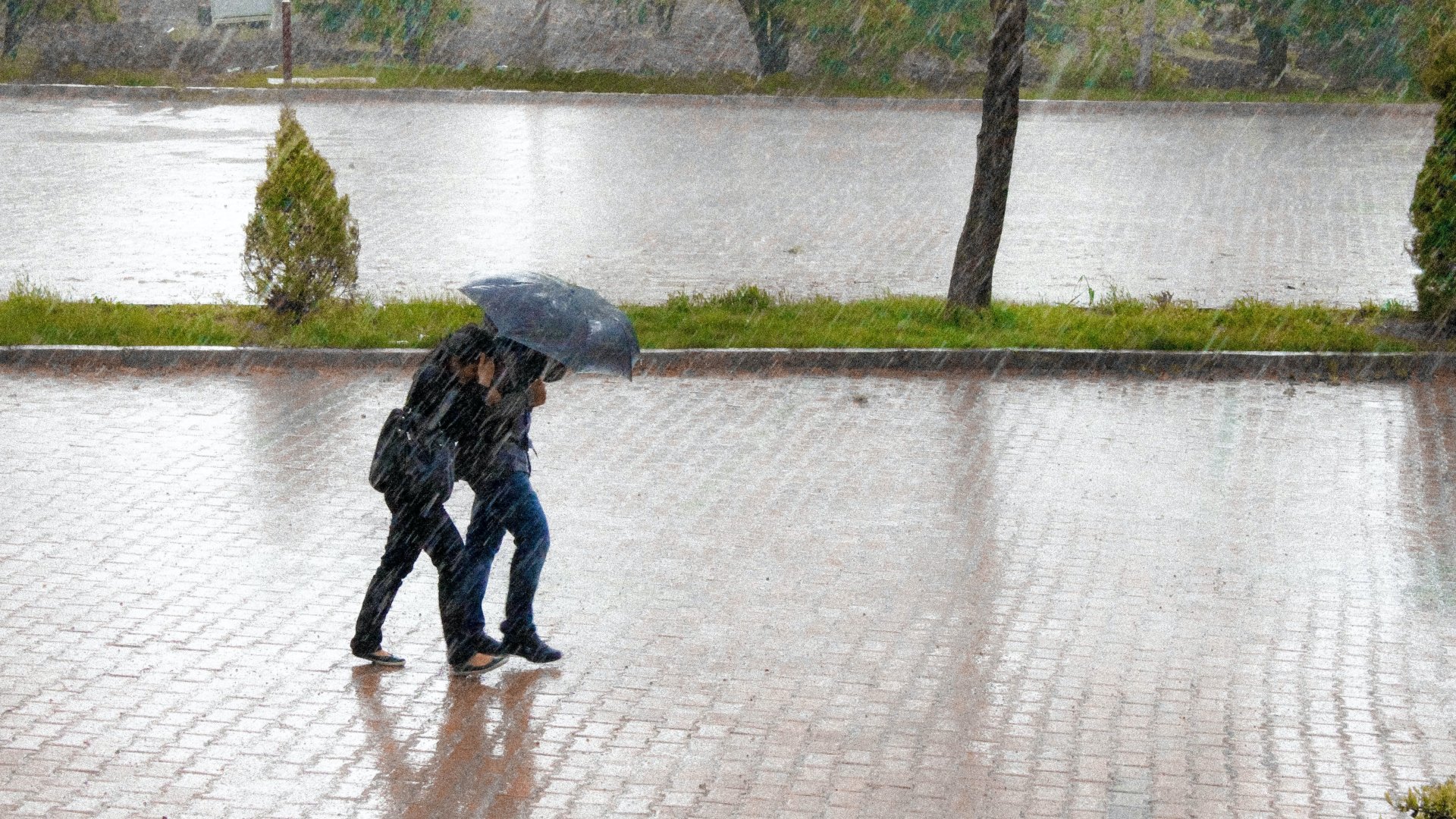 Egy pár esernyő alatt sétál a heves esőben