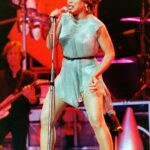 Tina Turner 1993-ban