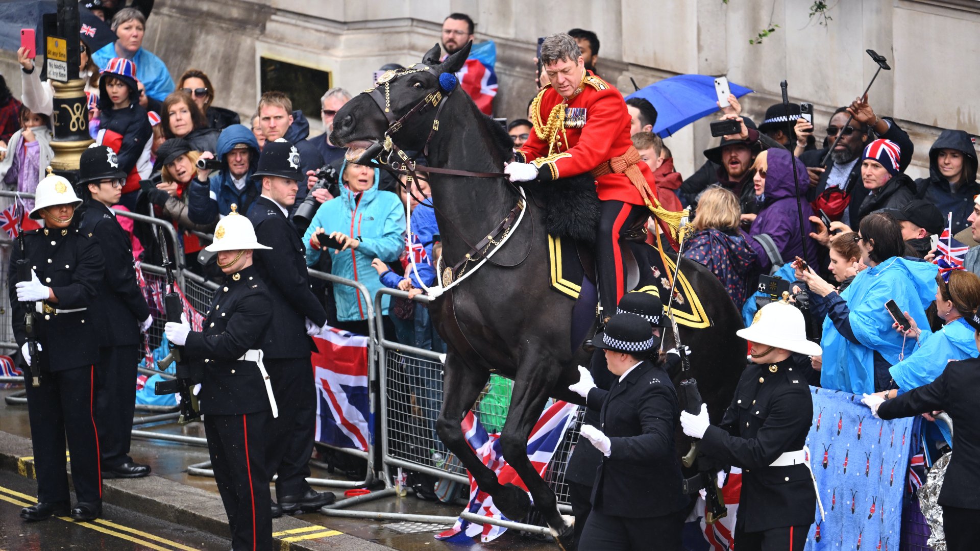 Egy ló belemegy a tömegbe a III. Károly király koronázási felvonulásán 2023. május 6-án Londonban