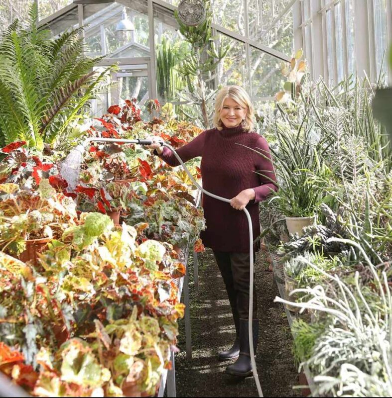 Martha Stewart az emlegetett üvegházában