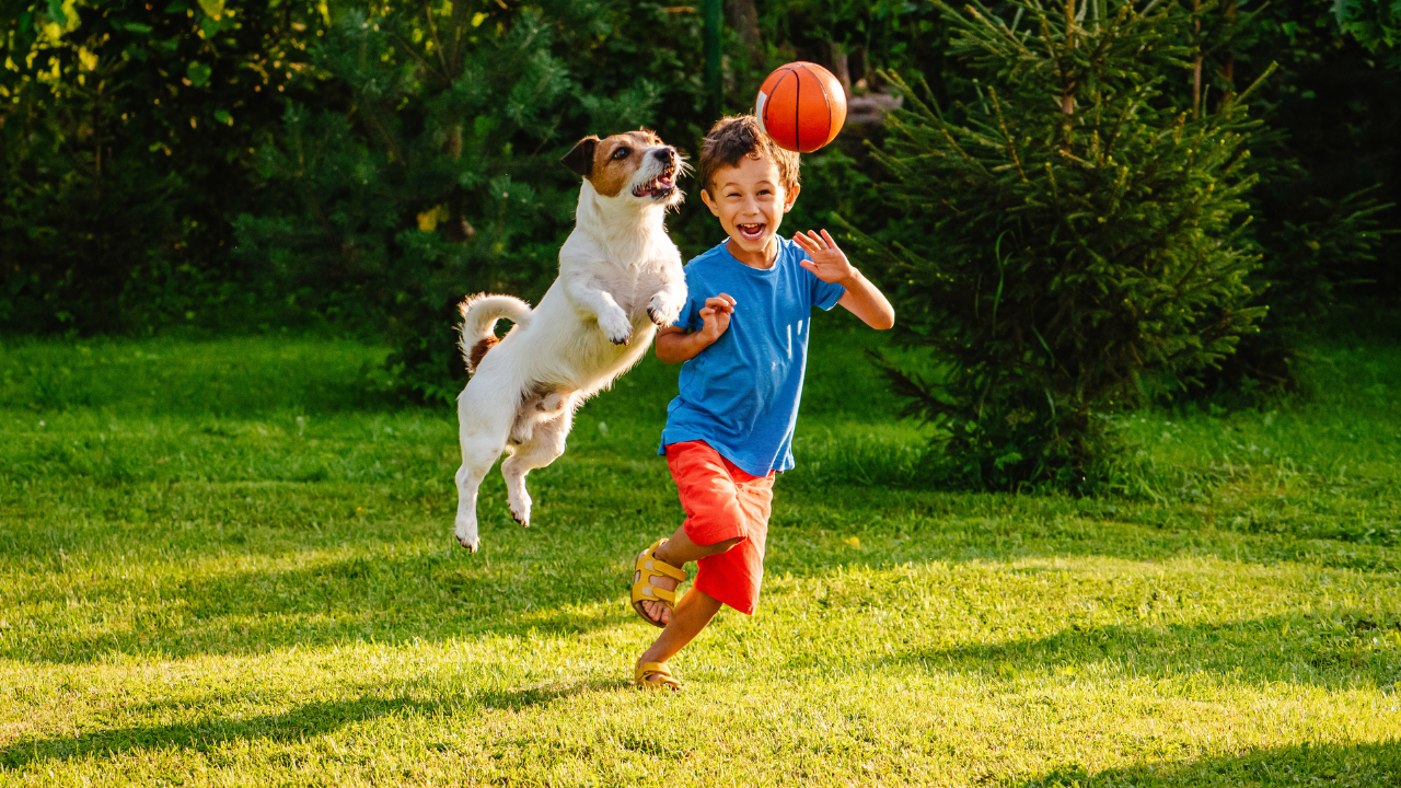 Egy kisfiú a kutyájával labdázik a kertben