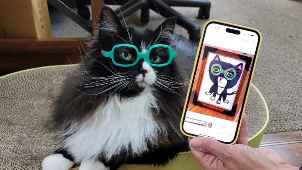 Truffles, a szemüveges macska