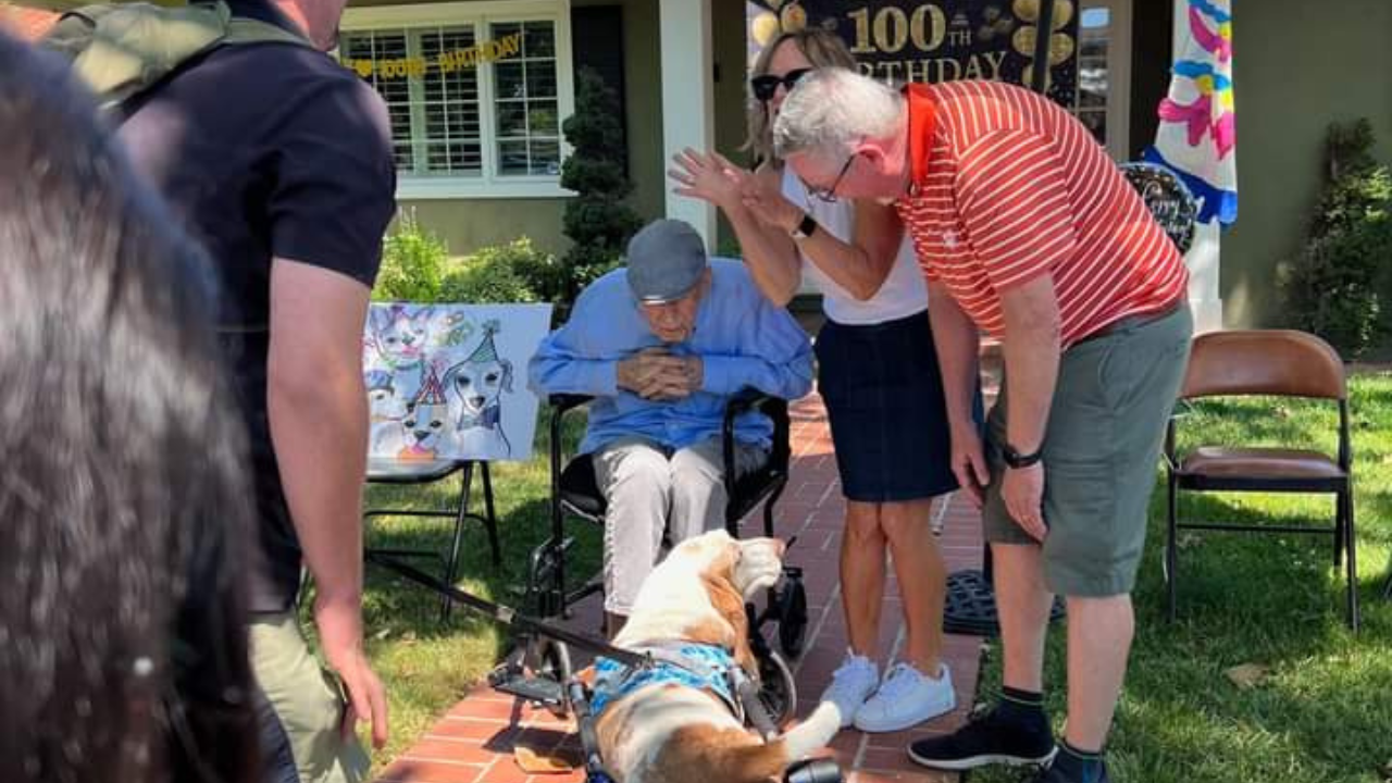 Robert Moore 200 kutya társaságában ünnepelte a 100. születésnapját