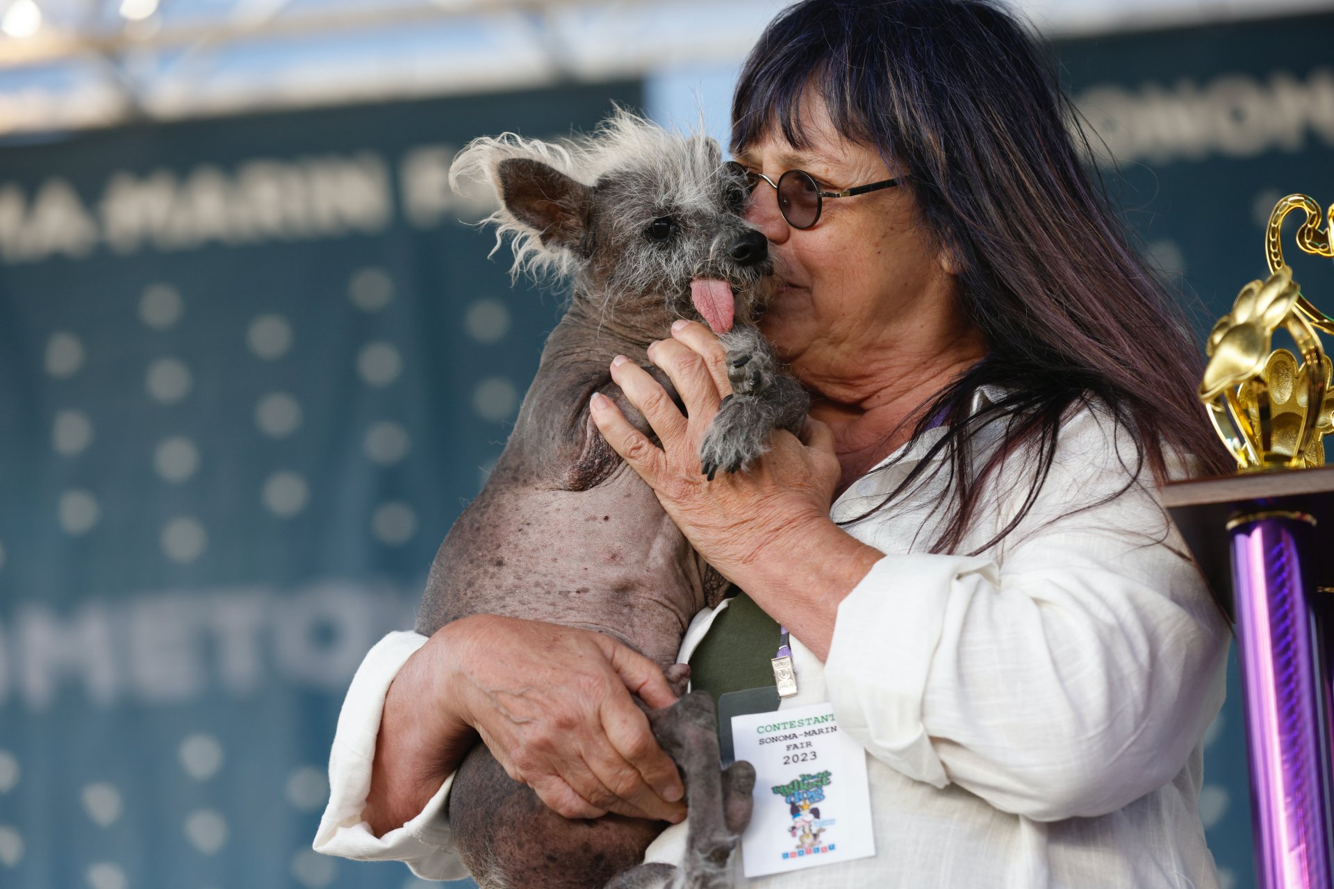 Gazdája, Linda Elmquist mutatja Scooter névre hallgató 7 éves kínai meztelen kutyáját a kutyacsúnyasági világbajnokság gyõztesét a kaliforniai Petalumában 2023. június 23-án
