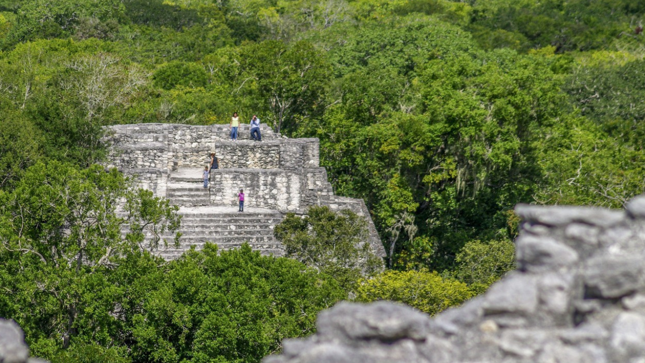 Az egykori maja város, Calakmul piramisai egy bioszféra-rezervátum sűrű zöldjében rejtőznek, távol a szokásos turistautaktól. Az egykori megametropolisz valószínűleg hosszú ideig a maják legfontosabb központja volt.