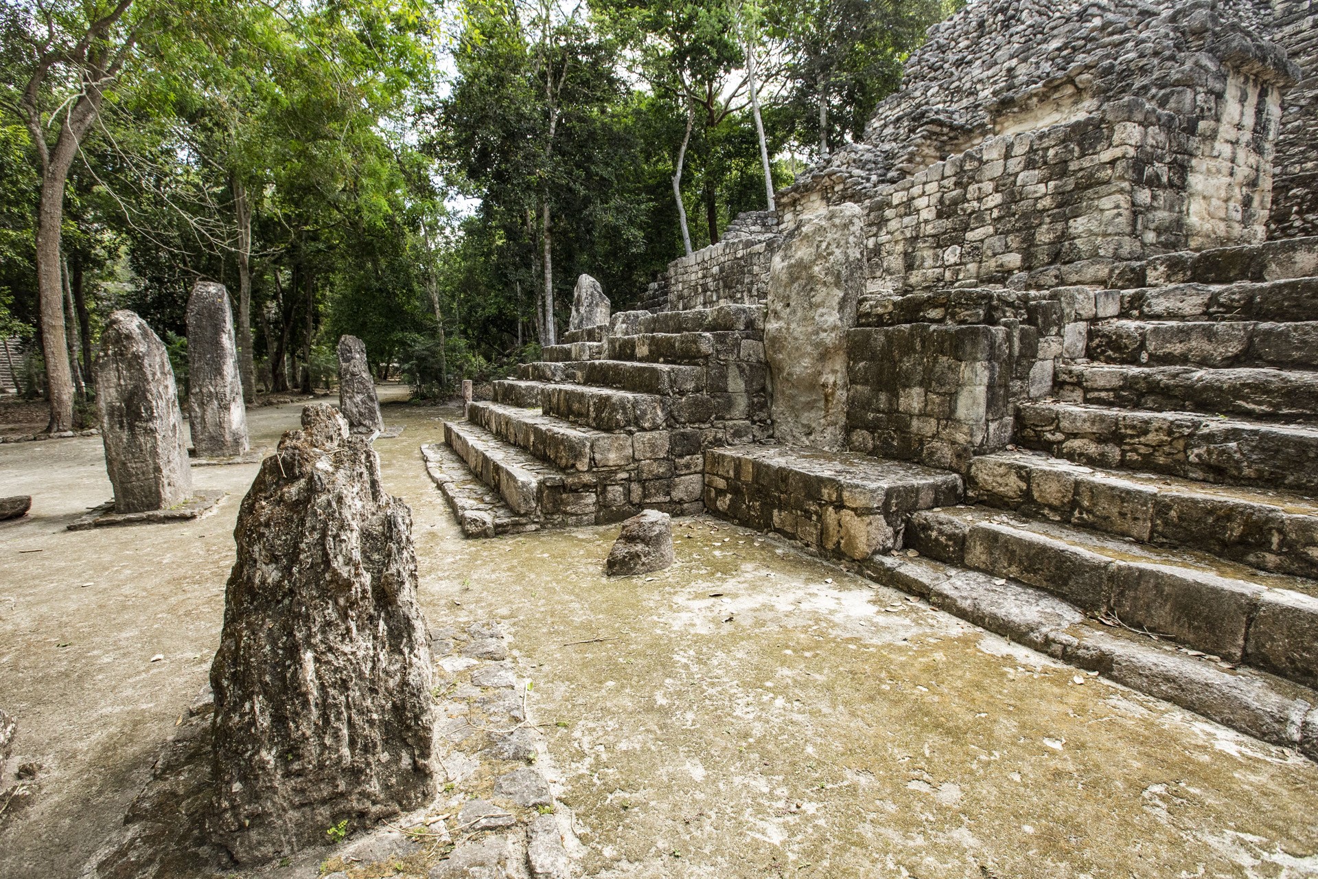 az UNESCO világörökségi listáján szereplő ősi maja város, sztélék Calakmul egyik piramisának lábánál. 