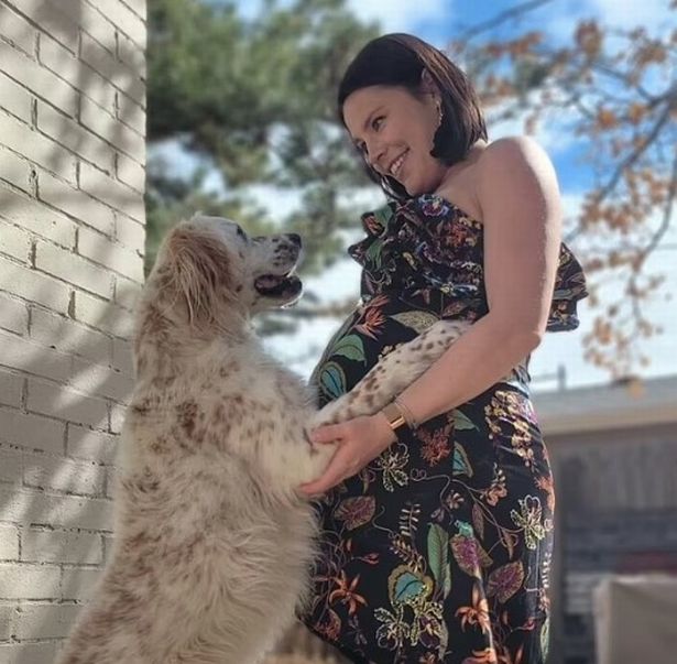 Saját kutyája elaltatása ellen küzd a család, miután arcon harapta a babájukat