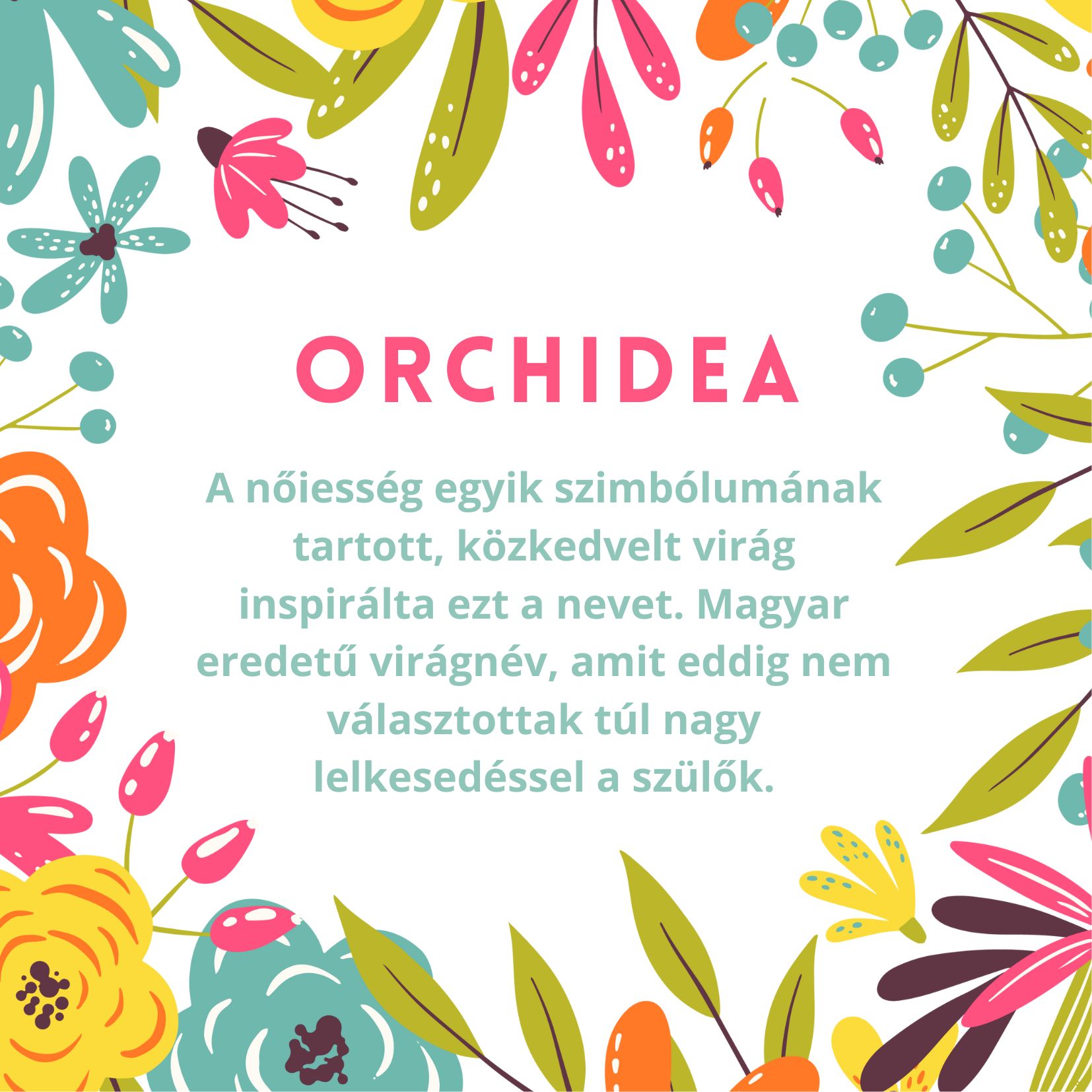 Orchidea név jelentése