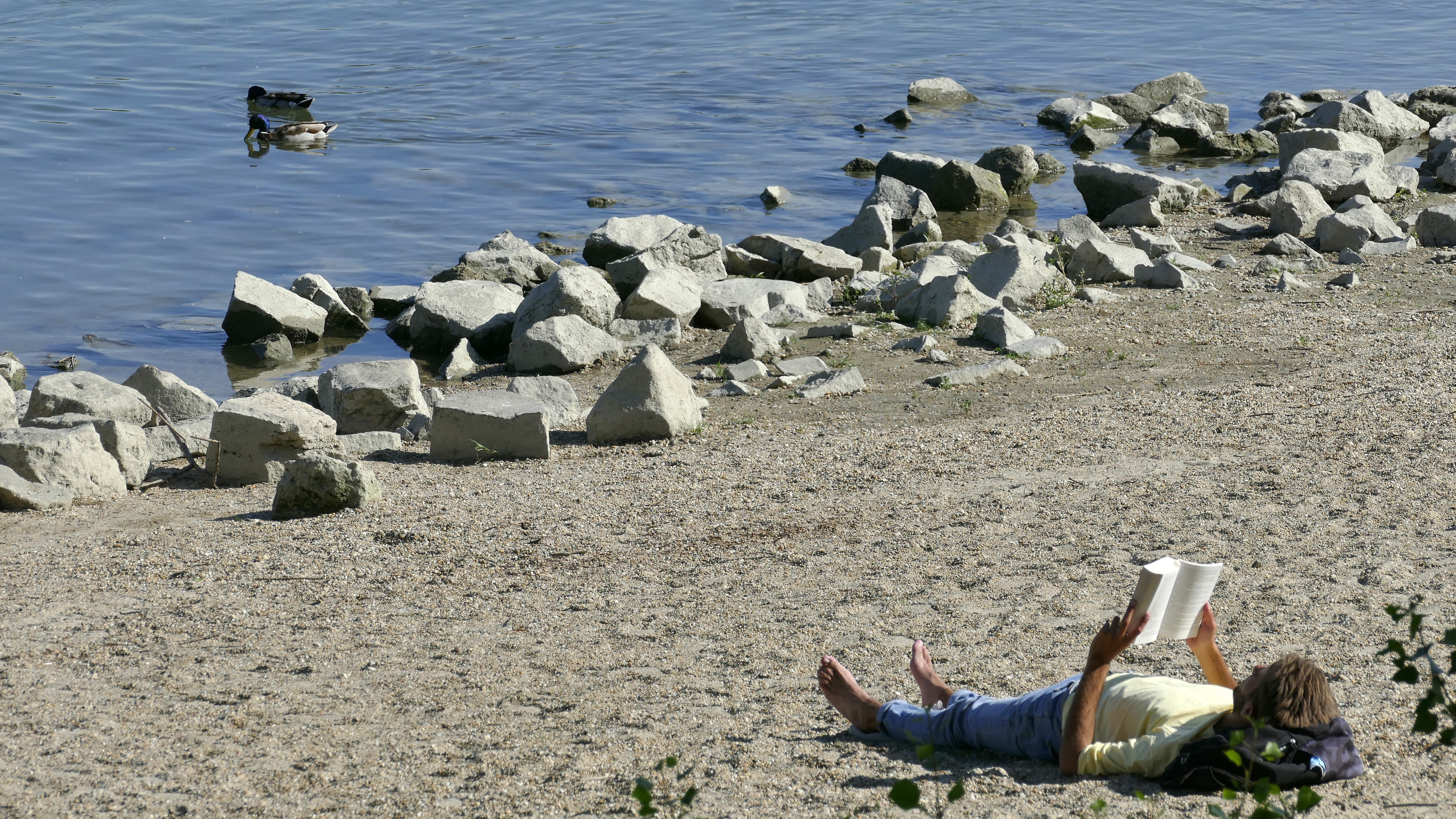 Egy fiatalember olvasva pihen a Kopaszi-gátnál a Duna partján